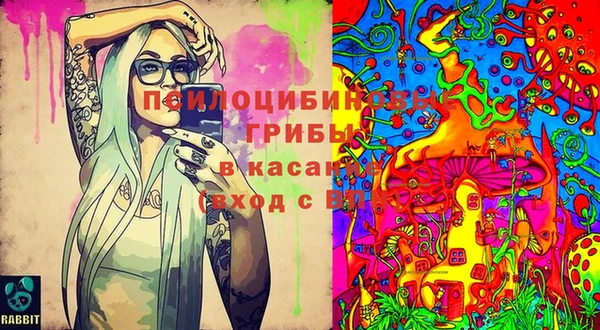 кокаин премиум Каменка
