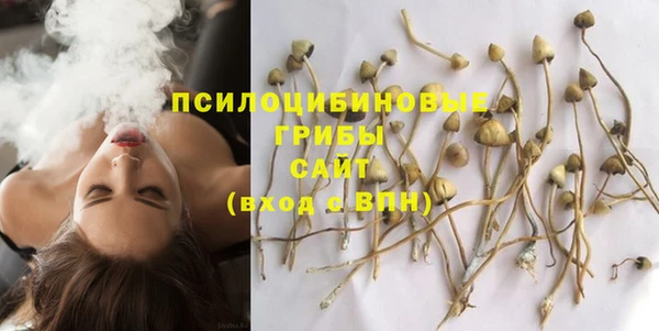 тгк Каменск-Шахтинский