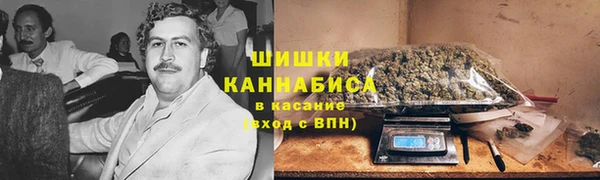 скорость Каменногорск