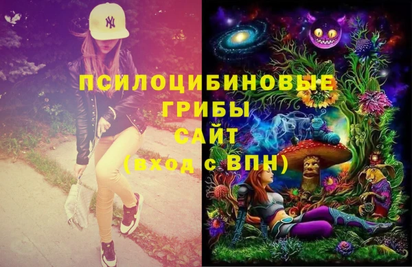 скорость Каменногорск