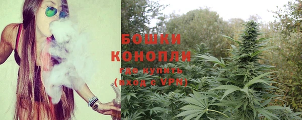 скорость Каменногорск