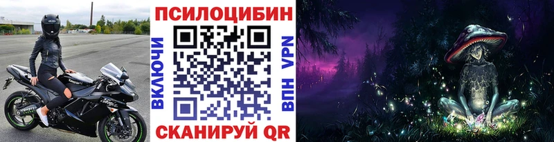 Купить  Бобров  Псилоцибиновые грибы GOLDEN TEACHER 